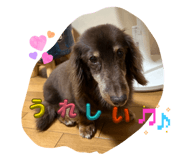 840853019