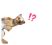 840853303