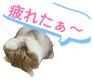840853549