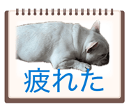 840853792