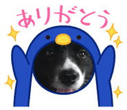 840853922