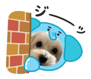 840853923