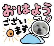 840853929
