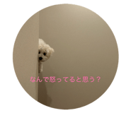 840854279