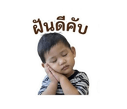 840855494