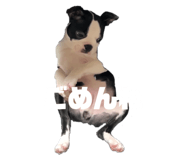 840855612