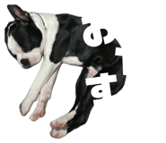 840855620