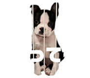 840855623