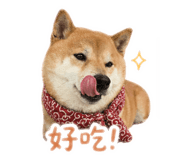 840855639