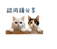 840856811