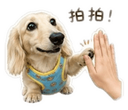 840856988