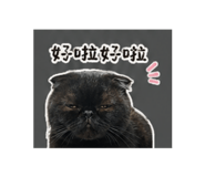 840857146