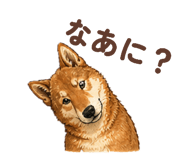 840858276