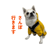 840858355