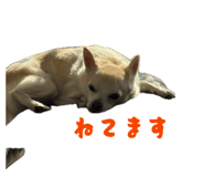 840858357