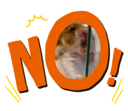 840858383