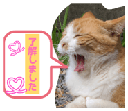 840858765