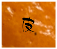 840859032