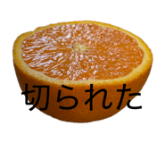840859040