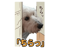 840859334