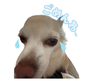 840859394