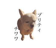 840859406