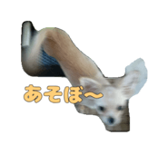 840859513