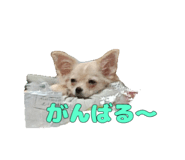 840859514