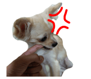 840859515