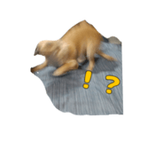 840859517