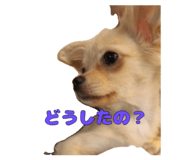 840859519