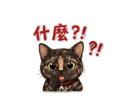 840859990