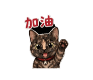 840859993