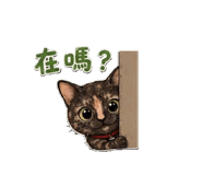 840859995