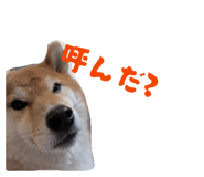 840860209