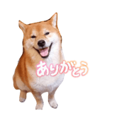840860210