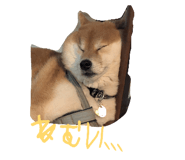 840860211