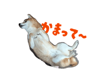 840860212