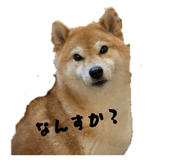 840860213
