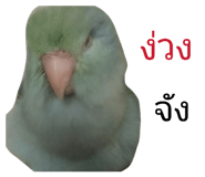 840860818