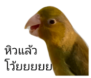 840860819