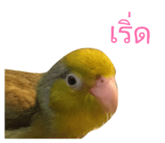 840860821