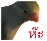 840860822