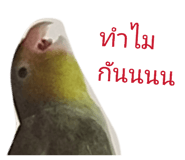 840860824