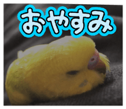 840861535