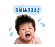 840864313