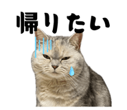 840865041
