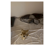 840865233