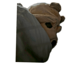 840865242