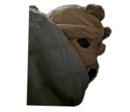 840865242